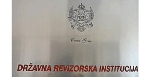 drzavna revizorska institucija