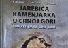 JAREBICA KAMENJARKA SIMBOL PLANINA CRNE GORE I NOVA MISIJA NJENOG OČUVANJA