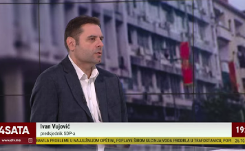 Vujović: Sve što treba da znate o PES-u je da podržava Vraneša, kad nema države fašizam maršira