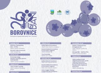 PLAV U ZNAKU BOROVNICE 26. GODINA KULTURE, TRAJANJA I STVARALAČKE SNAGE